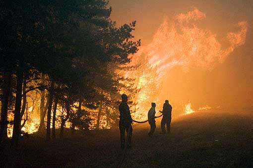 Лиски: лесные пожары